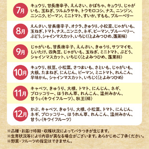 【毎月お届け】むなかた旬のお任せセット（野菜・フルーツ）9～11品【JAほたるの里】_HB0175
