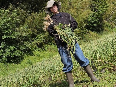 にんにく塩麴 130g×3本（自然栽培のにんにくシリーズ）【むなかたひかり】_HA1552