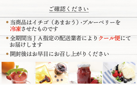 冷凍あまおう800g & 冷凍ブルーベリー600gセット 計1.4kg【JAほたるの里】_HA1653