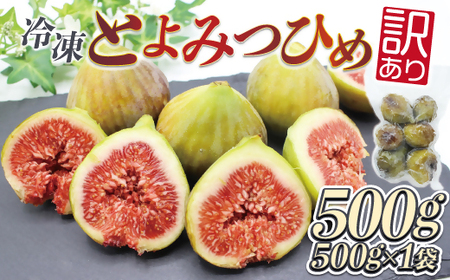 訳あり冷凍いちじく(とよみつひめ」)500g【JAほたるの里】_HA1657