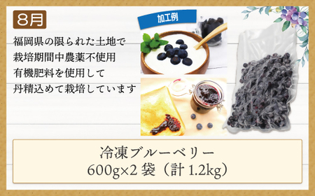 【3ヶ月連続お届け】人気の冷凍フルーツ定期便【JAほたるの里】_HB0191