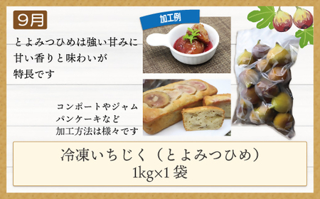 【3ヶ月連続お届け】人気の冷凍フルーツ定期便【JAほたるの里】_HB0191