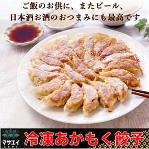 博多餃子 アカモク入り 48個【マサエイ水産加工】_HA0580