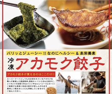 博多餃子 アカモク入り 48個【マサエイ水産加工】_HA0580