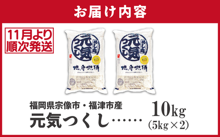 令和7年産 新米先行予約！JAよりお届け！福岡県ブランド米「元気つくし」10kg【ほたるの里】_HA1789