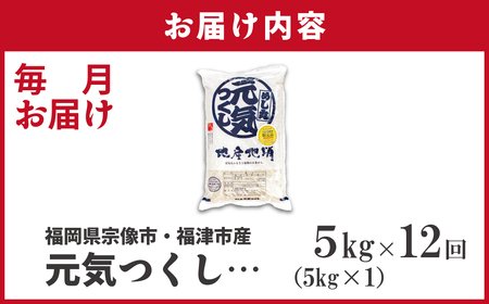 令和7年産 新米先行予約!【定期便/年12回】「元気つくし」5kg【ほたるの里】_HB0205
