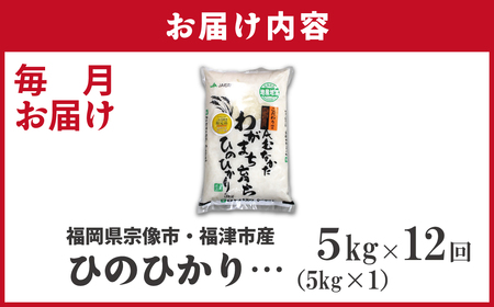 令和7年産 新米先行予約!【定期便/年12回】「ひのひかり」5kg【ほたるの里】_HB0197