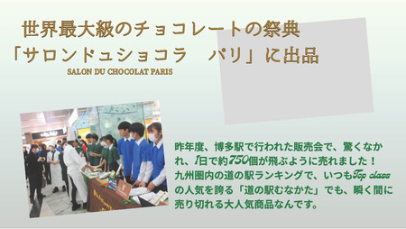 【道の駅むなかた】チョコレート 「セゾン・ド・MUNAKATA」 ～宗像の四季だより～ ８枚入り_HA1805