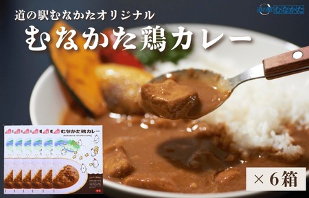 【道の駅むなかた】むなかた鶏カレー 6個セット_HA1827