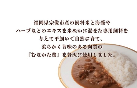 【道の駅むなかた】むなかた鶏カレー 6個セット_HA1827