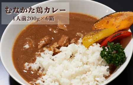 【道の駅むなかた】むなかた鶏カレー 6個セット_HA1827