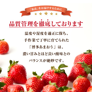 【アフター保証】 JAよりお届け！「博多あまおう」約280g×2パック【JAほたるの里】_HA1937