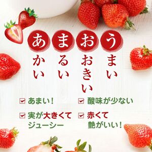 【アフター保証】4月発送!JAよりお届け!「博多あまおう」約280g×2パック【ほたるの里】_HA1938