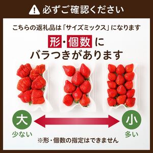 【アフター保証】4月発送!JAよりお届け!「博多あまおう」約280g×2パック【ほたるの里】_HA1938