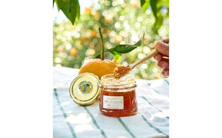 宗像コンフィチュール（あまおう・大島そだちの甘夏マーマレード）【メゾンスワロー】_HA1850