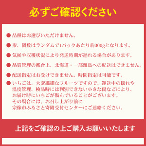 何が届くかお楽しみ!人気のいちご2品種食べ比べセット【宗像いちごファーム】_HA1785