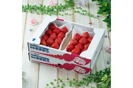 【2026年2月より順次発送】福岡産【春】あまおうDX(デラックス)4パック【南国フルーツ株式会社】_HA1908