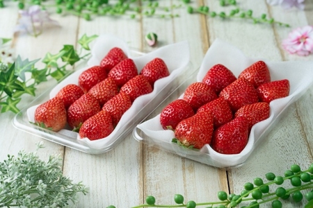 【2026年2月より順次発送】福岡産【春】あまおうDX(デラックス)4パック【南国フルーツ株式会社】_HA1908