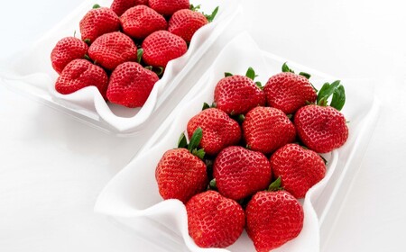 【先行予約受付中】【2027年2月15日~3月31日順次発送】福岡県産いちご「あまおう」270g×4パック【hurrah.】_HA1974