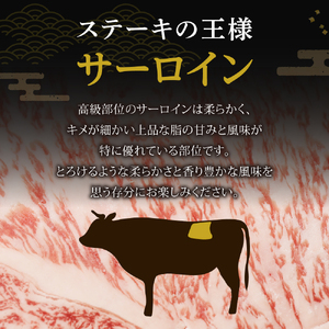  黒毛和牛 (博多和牛) サーロインステーキ 200g×3枚（ジャポネソース付）【伊豆丸商店】_HA0186