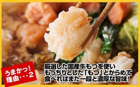  博多明太もつ鍋 醤油味（1人前）【海千】_HA0241