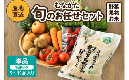 【9～11品】むなかた旬のお任せセット(野菜・フルーツ・お米)【JAほたるの里】_HA0263