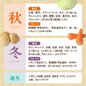 【9~11品】むなかた旬のお任せセット(野菜・フルーツ・お米)【JAほたるの里】_HA0263