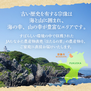 【9~11品】むなかた旬のお任せセット(野菜・フルーツ・お米)【JAほたるの里】_HA0263