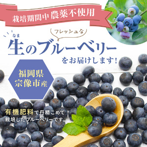 有機肥料で丹精込めて栽培した「ブルーベリー」1kg 栽培期間中農薬不使用　国産【JAほたるの里】_HA0273