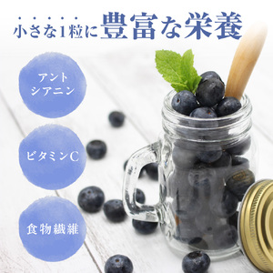 有機肥料で丹精込めて栽培した「ブルーベリー」1kg 栽培期間中農薬不使用　国産【JAほたるの里】_HA0273
