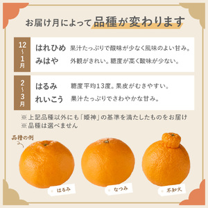 旬のミカンをお届け！JAむなかた柑橘ブランド「姫神」5kg 甘くておいしいみかん【2026年1月～4月上旬発送】【ほたるの里】_HA0280
