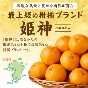 旬のミカンをお届け！JAむなかた柑橘ブランド「姫神」3kg 甘くて