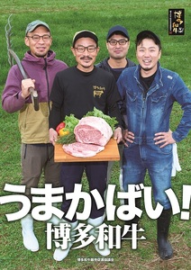 博多和牛切り落とし1.2kg(400g×3パック)【伊豆丸商店】_HA0282