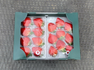 プレミアムオーガニックあまおう 「いせいちご」 プレミアムギフト【伊世いちご畑】_HA0481