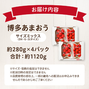 【アフター保証】どこよりも早くお届け!12月発送「博多あまおう」約280g×4パック【ほたるの里】_HA0502