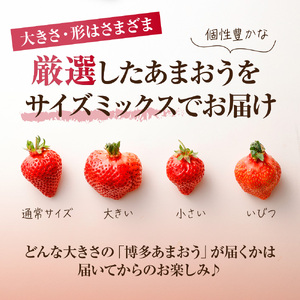 【数量限定】<アフター保証>1月3日~5日発送「博多あまおう」約280g×4パック 計1.12kg【ほたるの里】_HA0662