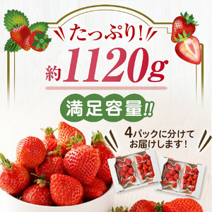 【数量限定】<アフター保証>1月3日~5日発送「博多あまおう」約280g×4パック 計1.12kg【ほたるの里】_HA0662
