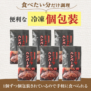 【定期便/年6回/偶数月お届け】むなかた牛ハンバーグ6個セット6回定期便【道の駅むなかた】_HB0038