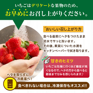 【定期便/3ヶ月連続お届け】アフター保証 博多あまおう 約280g×2パック 計3回 総量1.68kg 3カ月定期便【JAほたるの里】_HB0075