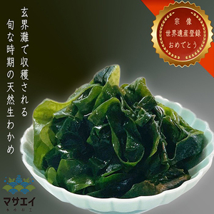 【翌営業日までに発送】福岡県玄界灘産　釜揚げ塩蔵わかめ（120g×8パック）【マサエイ】_HA0908