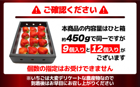 12月発送!「博多あまおう」EX 贈答用化粧箱 約450g 1箱【ほたるの里】_HA0754