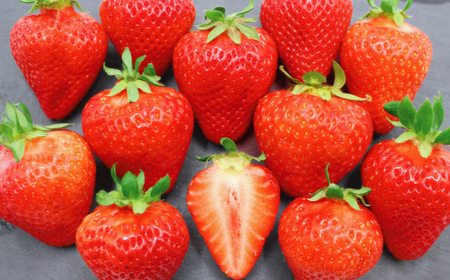 12月発送!「博多あまおう」EX 贈答用化粧箱 約450g 1箱【ほたるの里】_HA0754