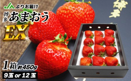 1月より順次発送!「博多あまおう」EX 贈答用化粧箱 約450g 1箱_PA0752