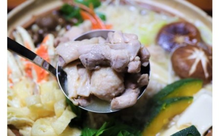 はかた地鶏の水炊き【唯一無二】_PA1000