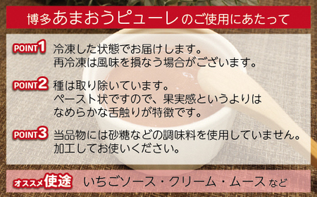 冷凍「博多あまおうピューレ」1kg【JAほたるの里】_HA1044