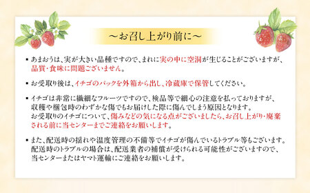 1月より順次発送！「博多あまおう」EX　贈答用化粧箱　約450g 2箱【ほたるの里】_HA0753