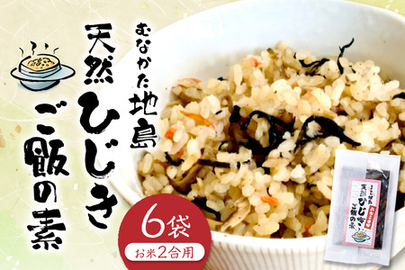 【道の駅むなかた】むなかた地島 天然ひじきご飯の素（6袋）_HA0773