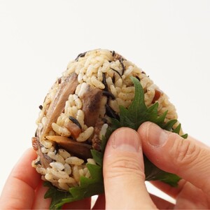 【道の駅むなかた】むなかた地島 天然ひじきご飯の素（6袋）_HA0773