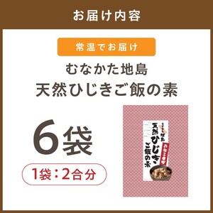 【道の駅むなかた】むなかた地島 天然ひじきご飯の素（6袋）_HA0773