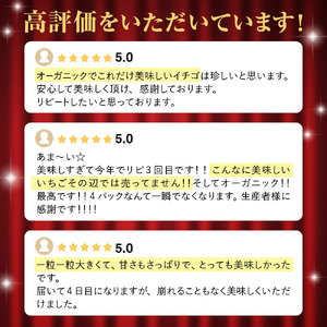 オーガニックあまおう「いせいちご」2パック(280g×2)【伊世いちご畑】_HA1116